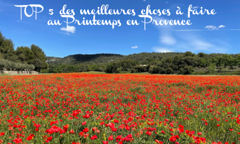 Top 5 des meilleures choses à faire en Provence au Printemps