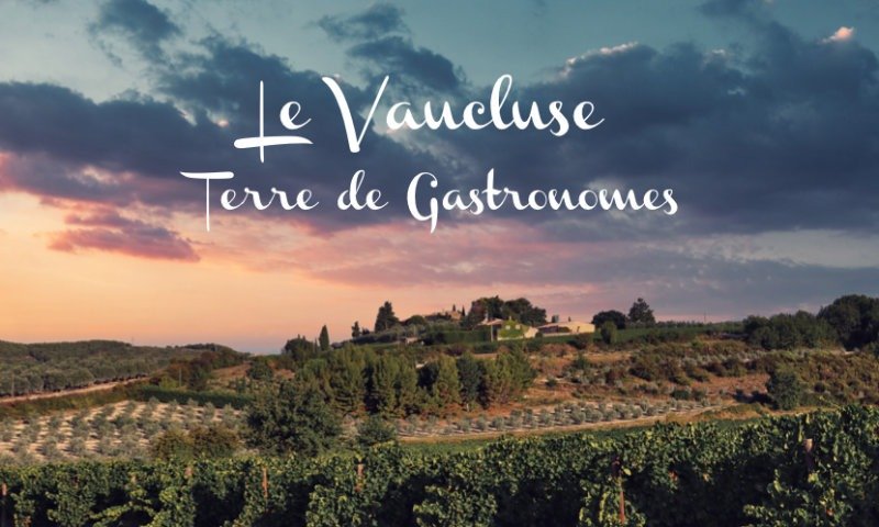 A la découverte des Merveilles du Vaucluse : un terroir de Provence qui séduit les gastronomes