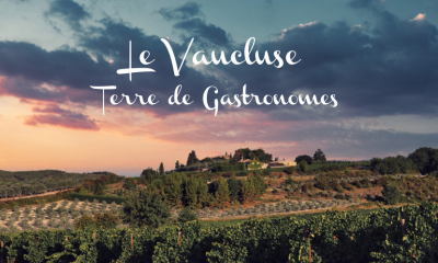 A la découverte des Merveilles du Vaucluse : un terroir de Provence qui séduit les gastronomes