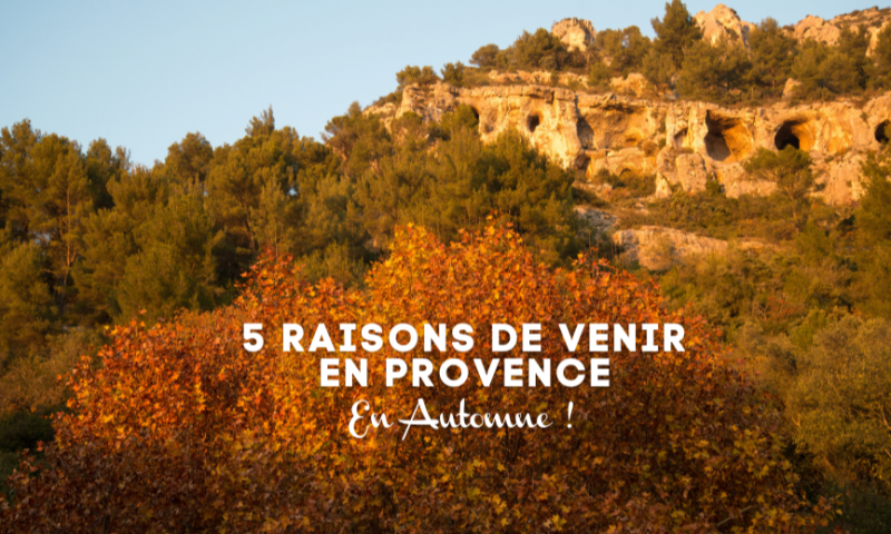 5 raisons de venir à l'Automne dans le Vaucluse, en Provence