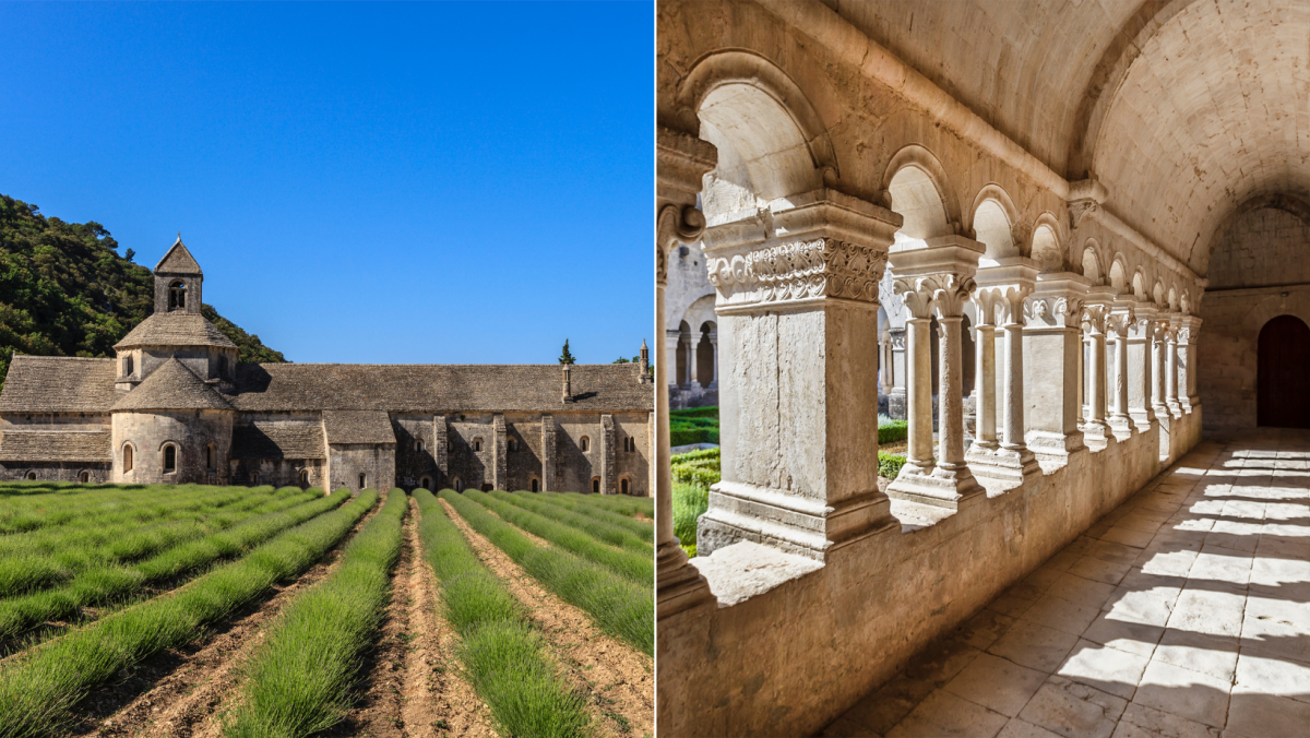 l'abbaye de sénanque - Maison d'hôtes L'oréliane en Provence