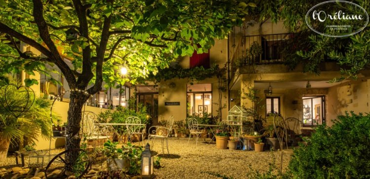 Provençal garden at the guesthouse near Avignon