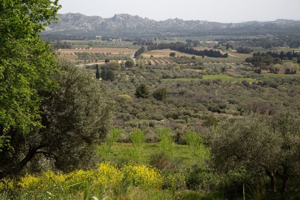 les alpilles