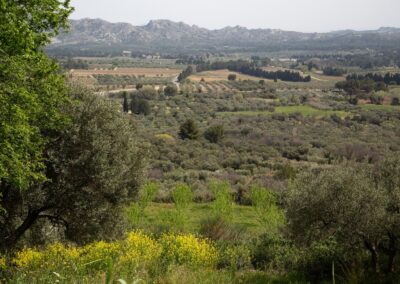 les alpilles