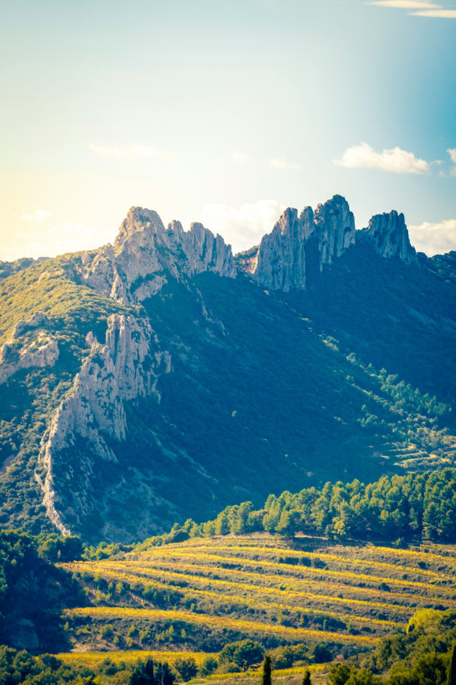 paul-pernalon-Gu7AIOJJHFA-unsplash